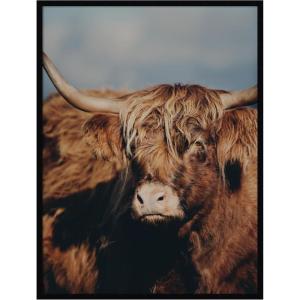 image:imageKate and Laurel Framed Wall Art Print Highland Cow No 5 by Laura Evans 31 x 41 Svelte Noir Black Frame Rustic Farmhouse Animal Art for Wall DecorSvelte Noir Black