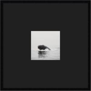 image:imageKate and Laurel Framed Wall Art Print Humpback Whale No 4 by Laura Evans 25 x 25 Svelte Noir Black Frame Coastal Animal Art for Wall DecorSvelte Noir Black Matted