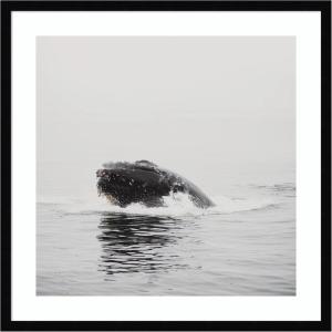 image:imageKate and Laurel Framed Wall Art Print Humpback Whale No 4 by Laura Evans 25 x 25 Svelte Noir Black Frame Coastal Animal Art for Wall DecorSvelte Noir Black