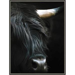 image:imageKate and Laurel Framed Wall Art Print Minimalist Black Highland Cow Close by Michael Schauer 33 x 41 Svelte Noir Black Frame Modern Contemporary Animal Art for Wall DecorTheo Black Silver Narrow