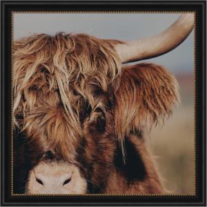 image:imageKate and Laurel Framed Wall Art Print Nosy Highland by Laura Evans 33 x 33 Svelte Noir Black Frame Rustic Farmhouse Animal Art for Wall DecorManhattan Black