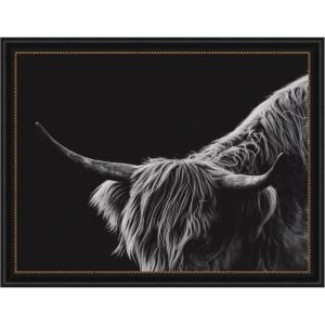 image:imageKate and Laurel Framed Wall Art Print Scottish Highland No 6 by Crystal Lynn Collins 33 x 21 Svelte Noir Black Frame Rustic Farmhouse Animal Art for Wall DecorManhattan Black