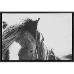 image:imageKate and Laurel Sylvie Noble Framed Canvas Wall Art by Alicia Abla 23x33 Black Modern Horse Art  Black and White PhotographyBlack