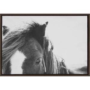 image:imageKate and Laurel Sylvie Noble Framed Canvas Wall Art by Alicia Abla 23x33 Black Modern Horse Art  Black and White PhotographyBrown