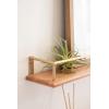 image:imageKate and Laurel Camryn 2Piece Wood and Metal Floating Wall Shelves 4 x 24 Natural Wood and Gold Simple Shelving Unit Set for Display or StorageNaturalGold