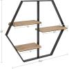 image:imageKate and Laurel Ladd Hexagon Shaped Floating Wood Wall Shelf with Black Metal Frame