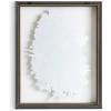 image:imageKate and Laurel Blake Colony Succulent Framed Printed Photograph on Glass by F2 Images 16x20 Gray Vibrant Botanical Wall Dcor
