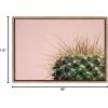 image:imageKate and Laurel Sylvie Botanical Cactus Color Photograph Framed Canvas Wall Art by F2 Images 18x24 Gold