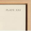 image:imageKate and Laurel Sylvie Ferns 1 and Ferns 2 Set Framed Canvas Wall Art by Corinna Buchholz of Piddix 2 Piece 18x24 Natural