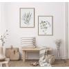 image:imageKate and Laurel Sylvie Neutral Botanical Prints 1 and 2 Framed Canvas Wall Art by The Creative Bunch Studio 2 Piece 18x24 Natural Decorative Botanical Art for WallNatural