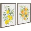 image:imageKate and Laurel Sylvie Orange Citrus and Lemon Citrus Framed Canvas Wall Art Set by Patricia Shaw 2 Piece 18x24 Gray Colorful Soft Fruit Plant Art for Wall