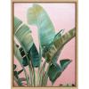 image:imageKate and Laurel Sylvie Tropic Pink Framed Canvas Wall Art by Alicia Bock 18x24 Natural Tropical Plant Photography Art for WallNatural