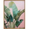 image:imageKate and Laurel Sylvie Tropic Pink Framed Canvas Wall Art by Alicia Bock 18x24 Natural Tropical Plant Photography Art for WallNatural