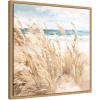 image:imageKate and Laurel Beige Beach Grass Near Traquil Beach Framed Canvas Wall Art by The Creative Bunch Studio 22 x 22 Sylvie Natural Coastal Beach Nature Art for Wall Decor Living Room Bedroom