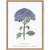 image:imageKate and Laurel Sylvie Blooming Hydrangea Framed Canvas Wall Art by Statement Goods 18x24 Natural Decorative Floral Art Print for WallNatural