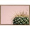 image:imageKate and Laurel Sylvie Botanical Cactus Color Photograph Framed Canvas Wall Art by F2 Images 18x24 Gold