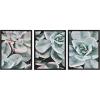 image:imageKate and Laurel Sylvie Botanical Succulent Plants Framed Canvas Wall Art Set by The Creative Bunch Studio Set of 3 18x24 Black Chic Botanical Art for Wall