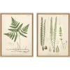 image:imageKate and Laurel Sylvie Ferns 1 and Ferns 2 Set Framed Canvas Wall Art by Corinna Buchholz of Piddix 2 Piece 18x24 Natural