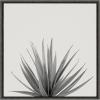 image:imageKate and Laurel Sylvie Haze Agave Succulent Framed Canvas Wall Art by The Creative Bunch Studio 22x22 Gray Decorative Succulent Art for WallGray