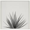 image:imageKate and Laurel Sylvie Haze Agave Succulent Framed Canvas Wall Art by The Creative Bunch Studio 22x22 Gray Decorative Succulent Art for WallWhite