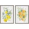 image:imageKate and Laurel Sylvie Orange Citrus and Lemon Citrus Framed Canvas Wall Art Set by Patricia Shaw 2 Piece 18x24 Gray Colorful Soft Fruit Plant Art for Wall