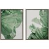 image:imageKate and Laurel Sylvie Plant Study 6 and Plant Study 7 Framed Canvas Wall Art Set by Alicia Abla 2 Piece 18x24 Natural Decorative Plant Art Nature Wall DcorGray