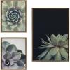 image:imageKate and Laurel Sylvie Succulent Framed Canvas Wall Art Set by Emiko and Mark Franzen of F2Images one 23x33 and two 16x20 Gold Finish Frames Decorative Plant Art for WallGold