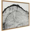 image:imageKate and Laurel Sylvie Tree Rings BW Framed Canvas Wall Art by Emiko and Mark Franzen of F2Images 315x415 Natural Oversized Organic Tree Wall Art