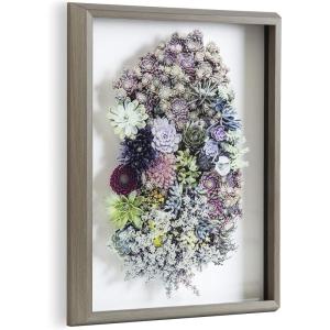 image:imageKate and Laurel Blake Colony Succulent Framed Printed Photograph on Glass by F2 Images 16x20 Gray Vibrant Botanical Wall Dcor
