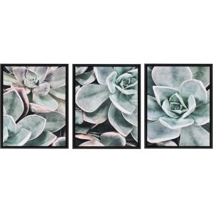 image:imageKate and Laurel Sylvie Botanical Succulent Plants Framed Canvas Wall Art Set by The Creative Bunch Studio Set of 3 18x24 Black Chic Botanical Art for Wall