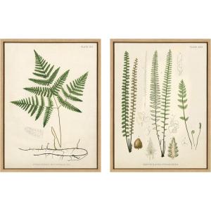 image:imageKate and Laurel Sylvie Ferns 1 and Ferns 2 Set Framed Canvas Wall Art by Corinna Buchholz of Piddix 2 Piece 18x24 Natural