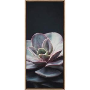 image:imageKate and Laurel Sylvie Lavender Succulent Framed Canvas Wall Art by Emiko and Mark Franzen of F2Images 18x40 Gold Sophisticated Succulent Print for Wall