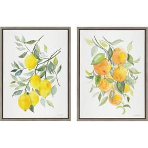 image:imageKate and Laurel Sylvie Orange Citrus and Lemon Citrus Framed Canvas Wall Art Set by Patricia Shaw 2 Piece 18x24 Gray Colorful Soft Fruit Plant Art for Wall