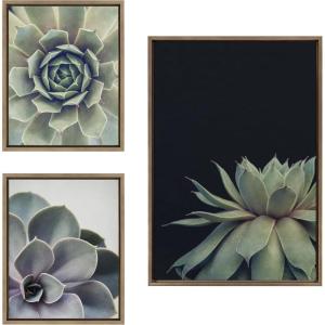 image:imageKate and Laurel Sylvie Succulent Framed Canvas Wall Art Set by Emiko and Mark Franzen of F2Images one 23x33 and two 16x20 Gold Finish Frames Decorative Plant Art for WallGold
