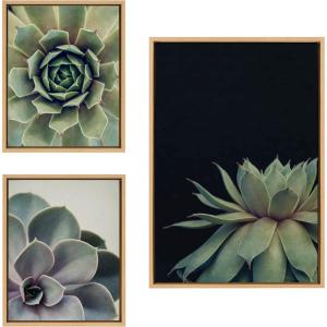 image:imageKate and Laurel Sylvie Succulent Framed Canvas Wall Art Set by Emiko and Mark Franzen of F2Images one 23x33 and two 16x20 Gold Finish Frames Decorative Plant Art for WallNatural