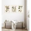 image:imageKate and Laurel 1754 Mark Catesby Botanicals and Avian Studies 3 Piece Framed Canvas Wall Art Set by Nostalgia Prints Sylvie Beaded White Vintage Flower Art for Wall Decor
