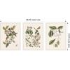image:imageKate and Laurel 1754 Mark Catesby Botanicals and Avian Studies 3 Piece Framed Canvas Wall Art Set by Nostalgia Prints Sylvie Beaded White Vintage Flower Art for Wall Decor