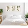 image:imageKate and Laurel 1754 Mark Catesby Botanicals and Avian Studies 3 Piece Framed Canvas Wall Art Set by Nostalgia Prints Sylvie Beaded White Vintage Flower Art for Wall Decor