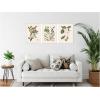 image:imageKate and Laurel 1754 Mark Catesby Botanicals and Avian Studies 3 Piece Framed Canvas Wall Art Set by Nostalgia Prints Sylvie Beaded White Vintage Flower Art for Wall Decor