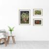image:imageKate and Laurel Apples 1887 Bouquet of Flowers in a Vase 1890 amp Garden at Arles by Vincent Van Gogh 3 Piece Framed Wall Art Print Set by Nostalgia Prints Belmont Distress White Vintage Flower Art