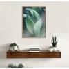 image:imageKate and Laurel Blake Agave II Framed Printed Acrylic Wall Art by Emiko and Mark Franzen of F2Images 24x32 Natural Moody Modern Botanical Wall Dcor