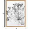 image:imageKate and Laurel Blake Bell Agapanthus X Ray Floral BW Framed Printed Glass Wall Art by The Creative Bunch Studio 18x24 Natural Decorative Modern Flower Art Print for Wall