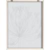image:imageKate and Laurel Blake Bell Agapanthus X Ray Floral BW Framed Printed Glass Wall Art by The Creative Bunch Studio 18x24 Natural Decorative Modern Flower Art Print for Wall