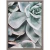 image:imageKate and Laurel Blake Botanical Succulent Plants 2 Framed Printed Glass Wall Art by The Creative Bunch Studio 18x24 Gray Succulent Art for Wall