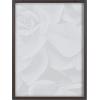 image:imageKate and Laurel Blake Botanical Succulent Plants 2 Framed Printed Glass Wall Art by The Creative Bunch Studio 18x24 Gray Succulent Art for Wall