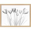 image:imageKate and Laurel Blake Crocus X Ray Floral BW Framed Printed Glass Wall Art by The Creative Bunch Studio 18x24 Natural Decorative Modern Flower Art Print for Wall