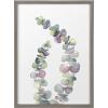 image:imageKate and Laurel Blake Eucalyptus 2 Branches Framed Printed Glass Wall Art by Emily Marie Watercolors 18x24 Gray Decorative Succulent Art for WallGray