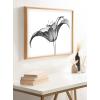 image:imageKate and Laurel Blake Lily X Ray Floral BW Framed Printed Glass Wall Art by The Creative Bunch Studio 18x24 Natural Decorative Modern Flower Art Print for Wall