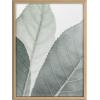 image:imageKate and Laurel Blake Modern Green Leaf Botanical Framed Printed Glass Wall Art by The Creative Bunch Studio 18x24 Natural Decorative Nature Themed Art for Wall