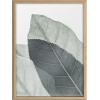 image:imageKate and Laurel Blake Modern Green Leaf Botanical II Framed Printed Glass Wall Art by The Creative Bunch Studio 18x24 Natural Decorative Nature Art for Wall